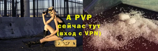 spice Беломорск