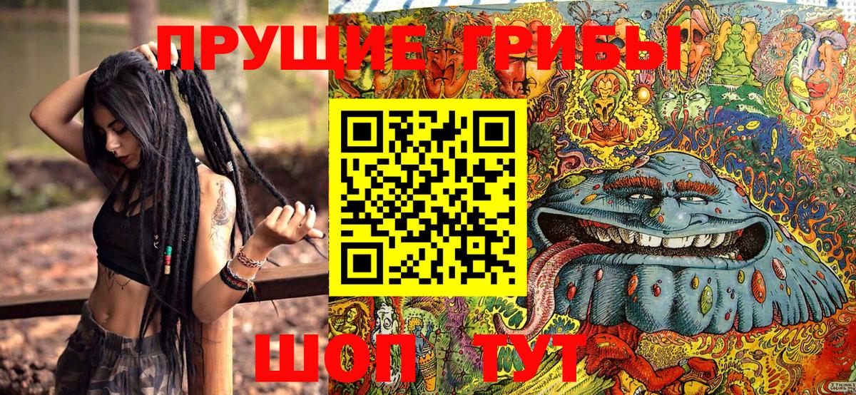Галлюциногенные грибы Magic Shrooms Вятские Поляны