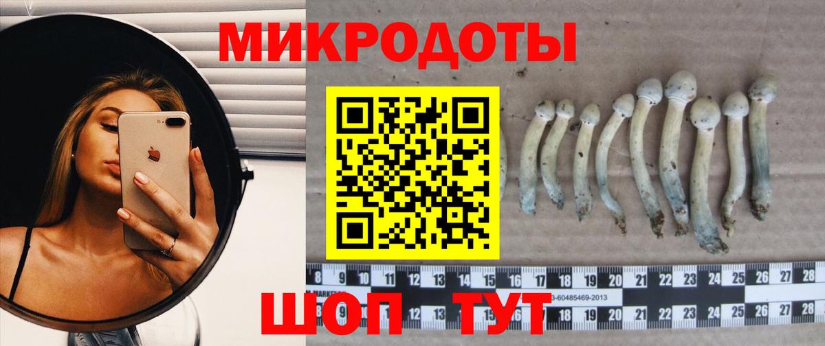 Галлюциногенные грибы мицелий  Вятские Поляны  Галлюциногенные грибы Cubensis 